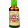 Bylinné kapky Priedušky, suchý kašeľ – tinktúra, 50 ml